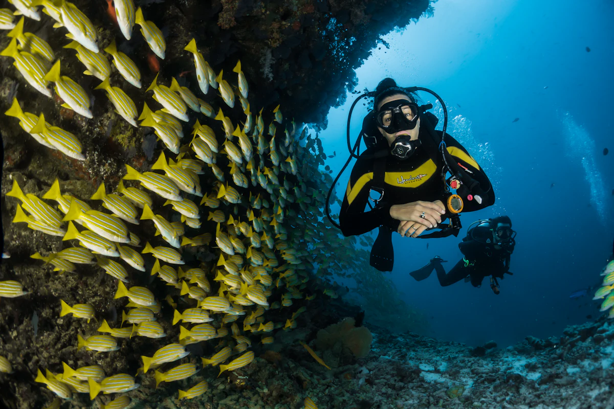 Belize - image 1
